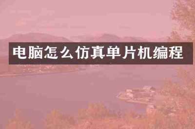 电脑怎么仿真单片机编程