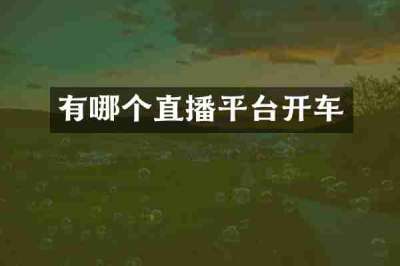 有哪个直播平台开车