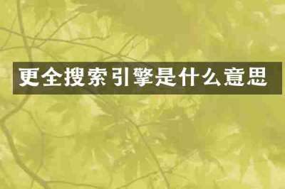 更全搜索引擎是什么意思