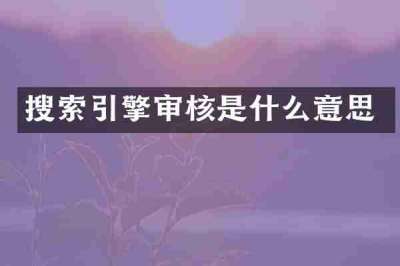 搜索引擎审核是什么意思