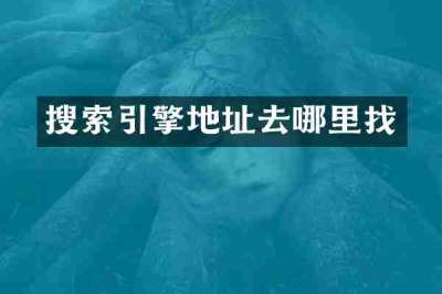 搜索引擎地址去哪里找