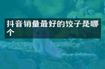 抖音销量最好的饺子是哪个
