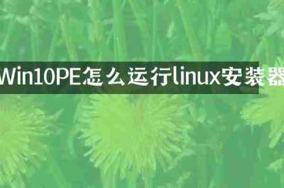 Win10PE怎么运行linux安装器