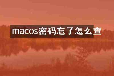 macos密码忘了怎么查