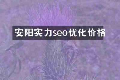 安阳实力seo优化价格