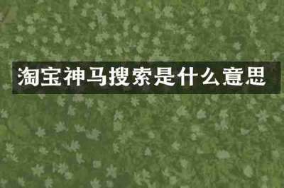 淘宝神马搜索是什么意思