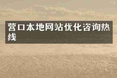 营口本地网站优化咨询热线