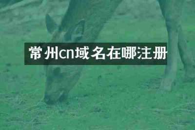 常州cn域名在哪注册