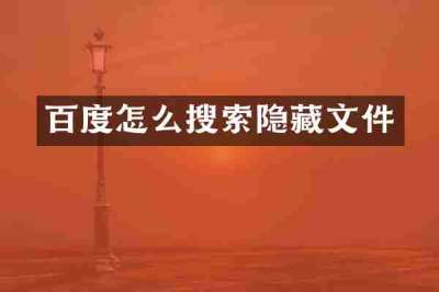 百度怎么搜索隐藏文件
