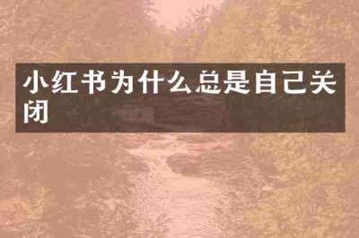 小红书为什么总是自己关闭