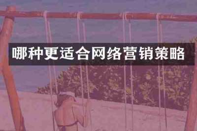 哪种更适合网络营销策略