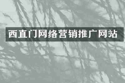 西直门网络营销推广网站