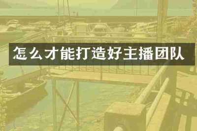 怎么才能打造好主播团队