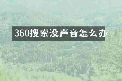 360搜索没声音怎么办