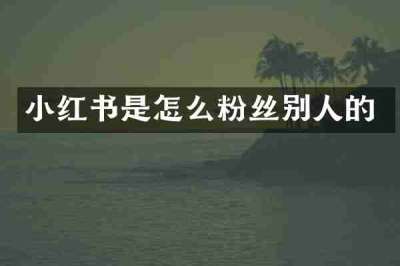 小红书是怎么粉丝别人的