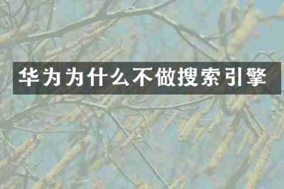 华为为什么不做搜索引擎