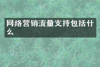 网络营销流量支持包括什么