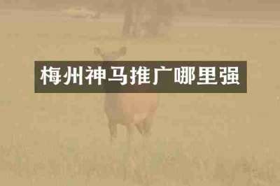 梅州神马推广哪里强