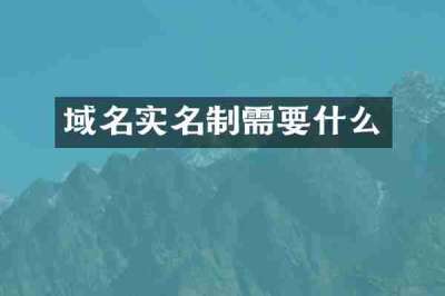 域名实名制需要什么