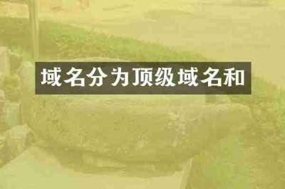 域名分为顶级域名和