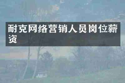 耐克网络营销人员岗位薪资