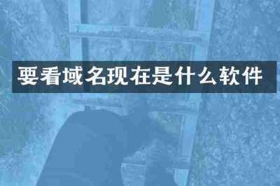 要看域名现在是什么软件