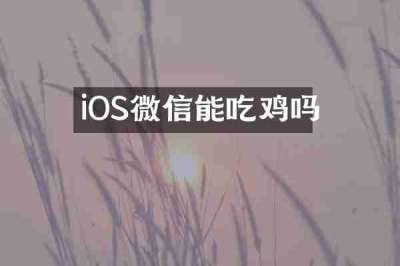 iOS微信能吃鸡吗