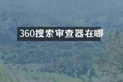 360搜索审查器在哪