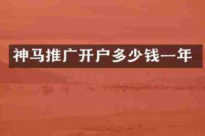 神马推广开户多少钱一年