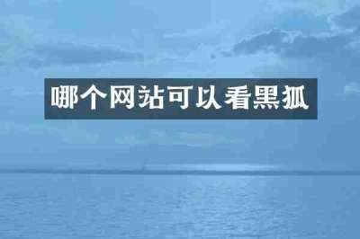 哪个网站可以看黑狐