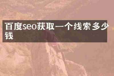 百度seo获取一个线索多少钱