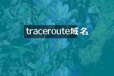 traceroute域名