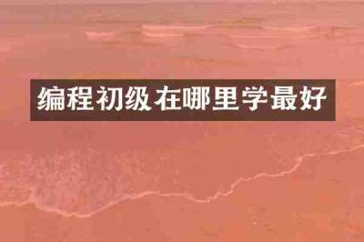 编程初级在哪里学最好
