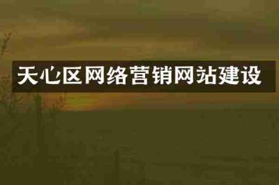 天心区网络营销网站建设