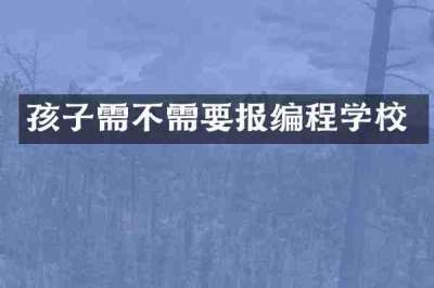 孩子需不需要报编程学校
