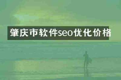 肇庆市软件seo优化价格