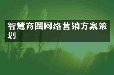 智慧商圈网络营销方案策划