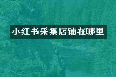 小红书采集店铺在哪里
