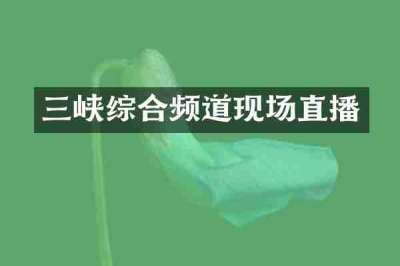 三峡综合频道现场直播