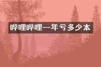 哔哩哔哩一年亏多少本