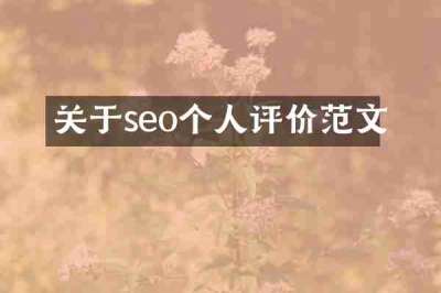 关于seo个人评价范文
