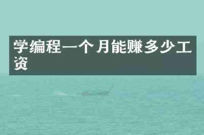 学编程一个月能赚多少工资
