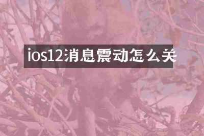 ios12消息震动怎么关
