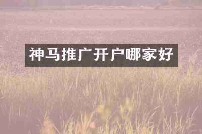 神马推广开户哪家好