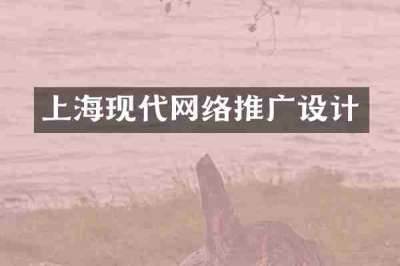 上海现代网络推广设计