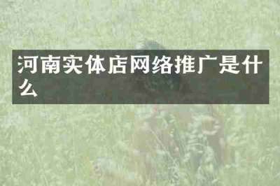 河南实体店网络推广是什么