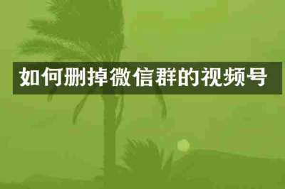 如何删掉微信群的视频号
