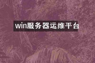 win服务器运维平台