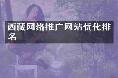 西藏网络推广网站优化排名