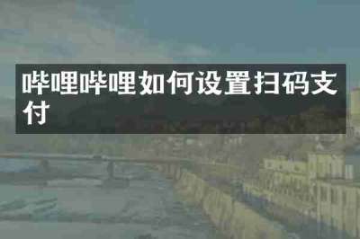 哔哩哔哩如何设置扫码支付